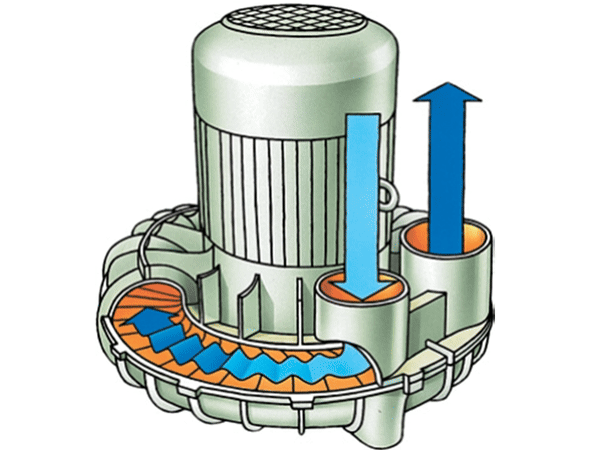 ezgif.com-crop (2).gif